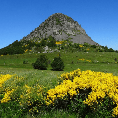 Mont Gerbier de Jonc